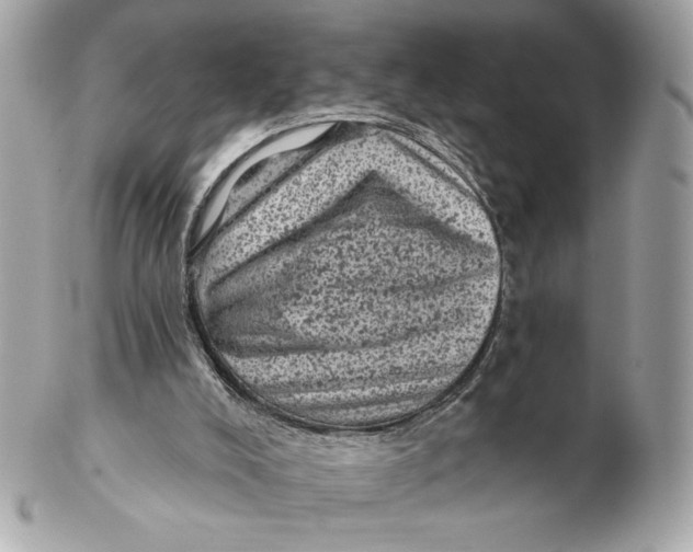 X0000102460008200808291552