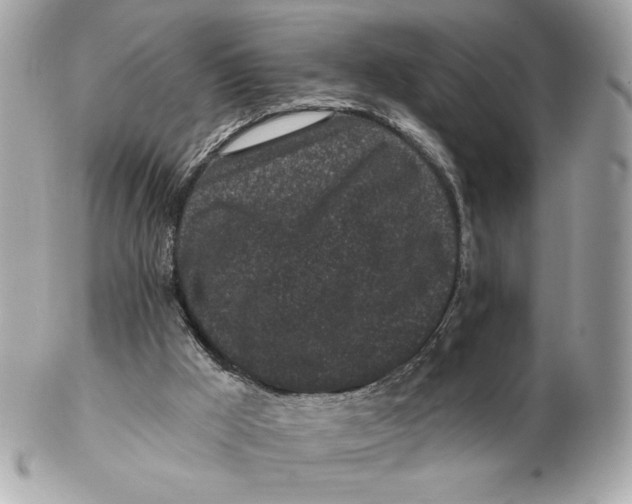 X0000102460009200808291552