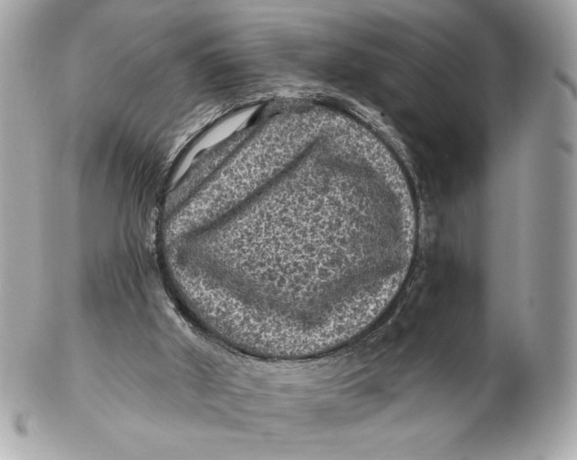 X0000102460010200808291552