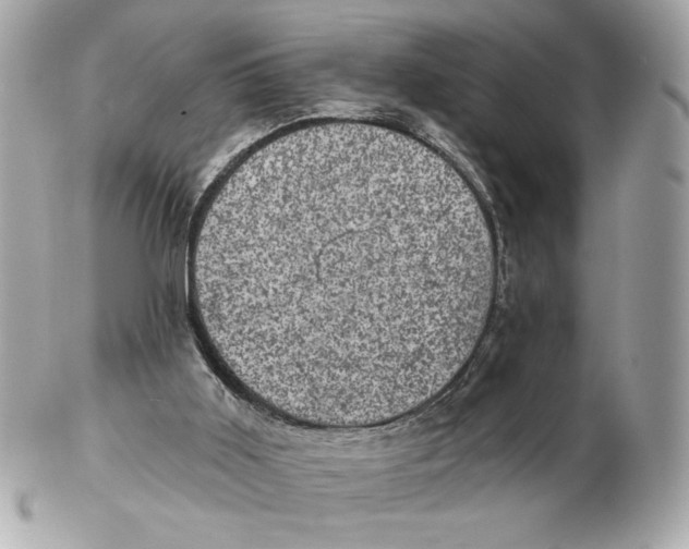 X0000102460011200808291552