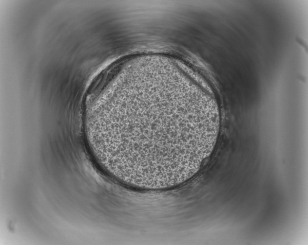 X0000102460012200808291552