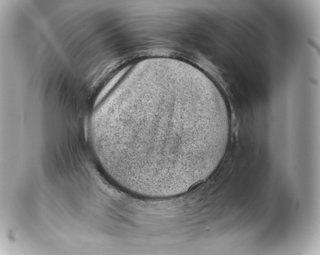 X0000102460013200808291552