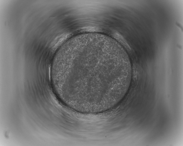 X0000102460014200808291552