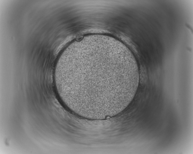 X0000102460015200808291552