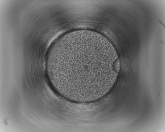 X0000102460016200808291552