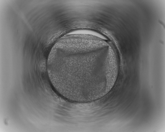 X0000102460017200808291552