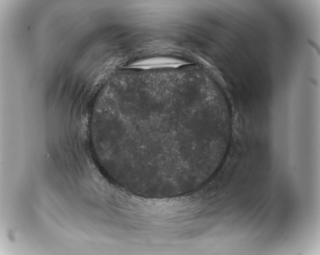 X0000102460018200808291552