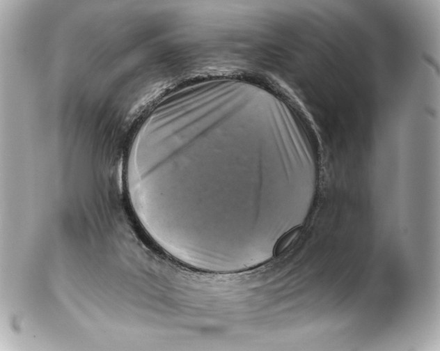 X0000102460019200808291552