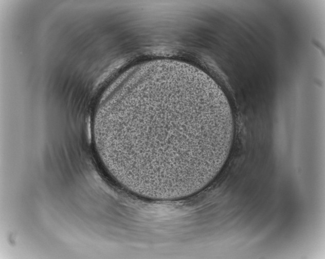 X0000102460020200808291552