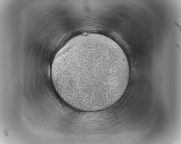X0000102460021200808291552