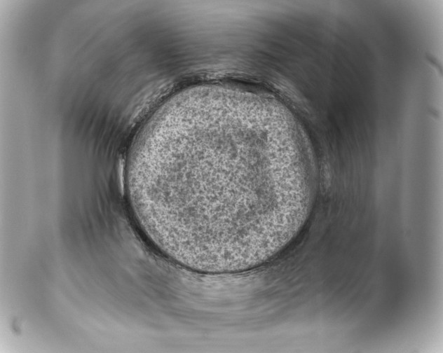 X0000102460022200808291552