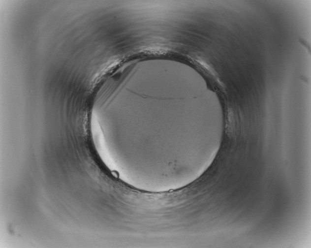 X0000102460023200808291552