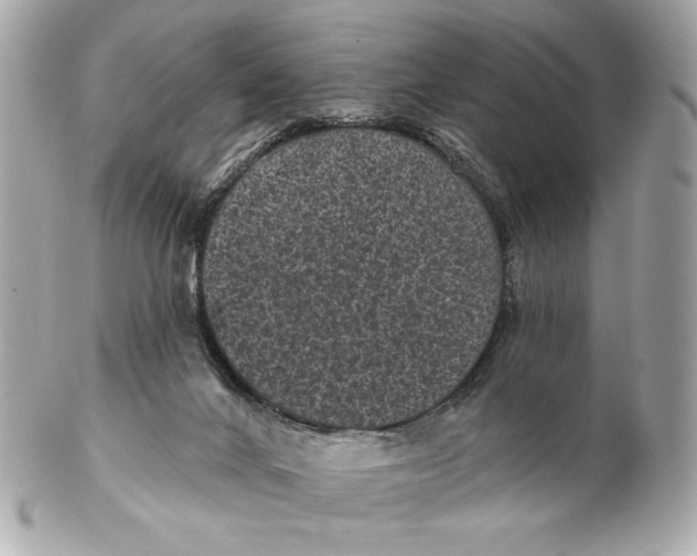 X0000102460024200808291552