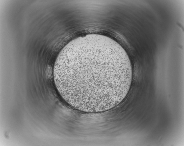 X0000102460025200808291552