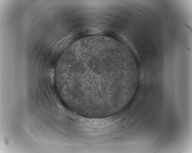 X0000102460026200808291552