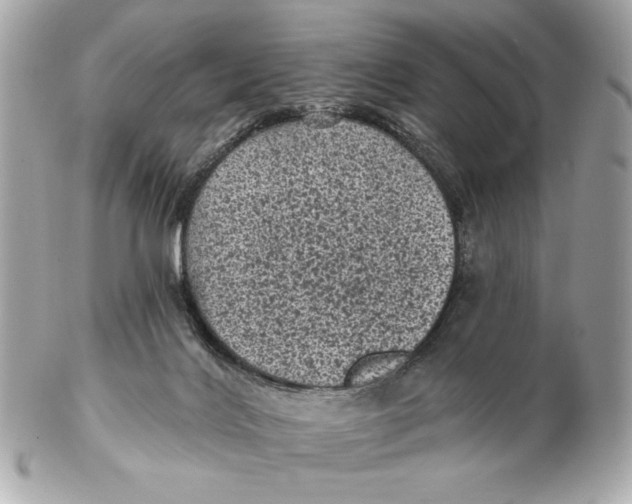 X0000102460028200808291552