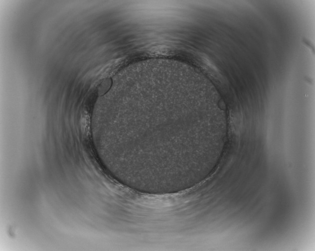 X0000102460029200808291552