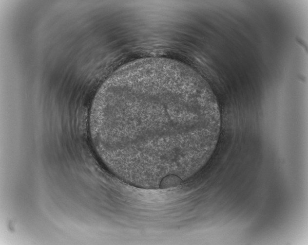 X0000102460030200808291552