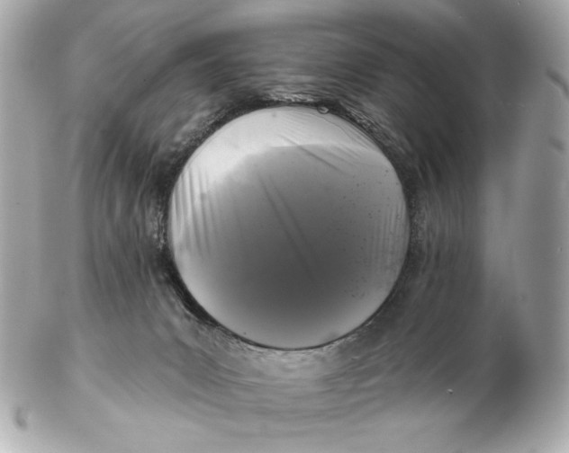 X0000102460031200808291552