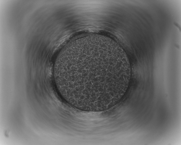X0000102460032200808291552