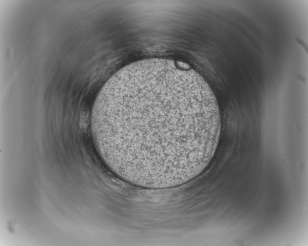 X0000102460033200808291551