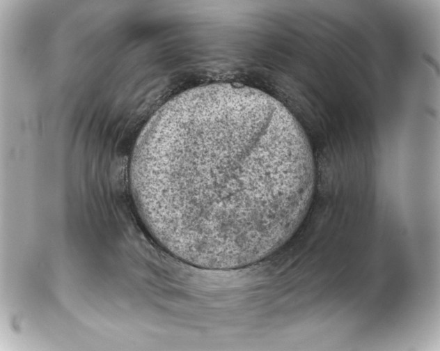X0000102460034200808291551