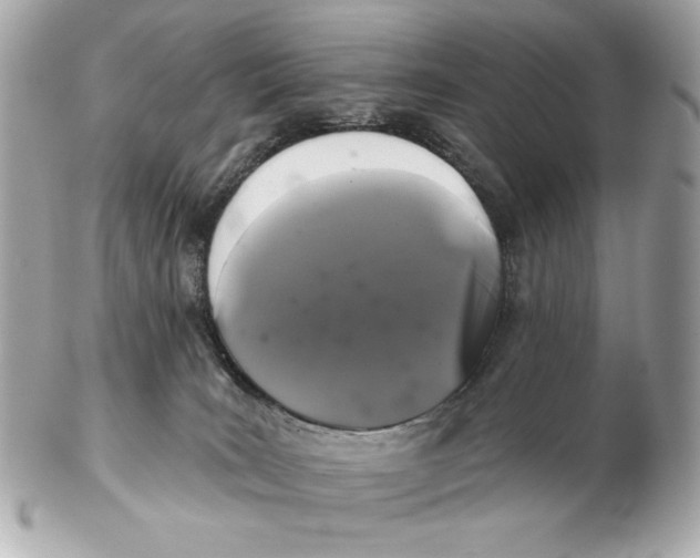 X0000102460035200808291551