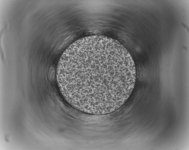 X0000102460036200808291551