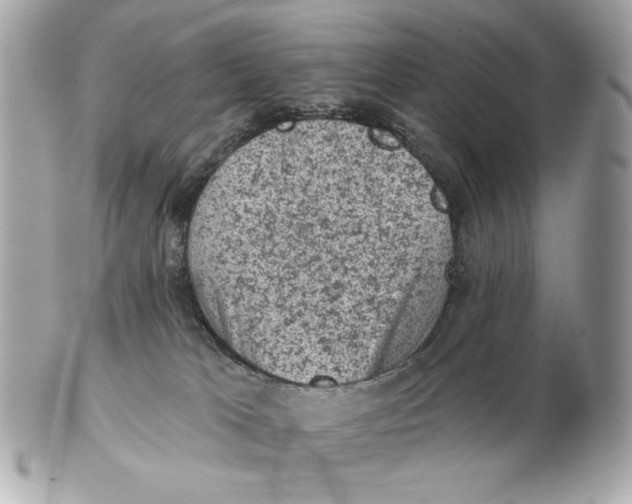X0000102460037200808291551