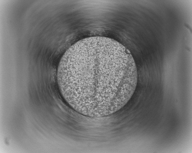 X0000102460038200808291551