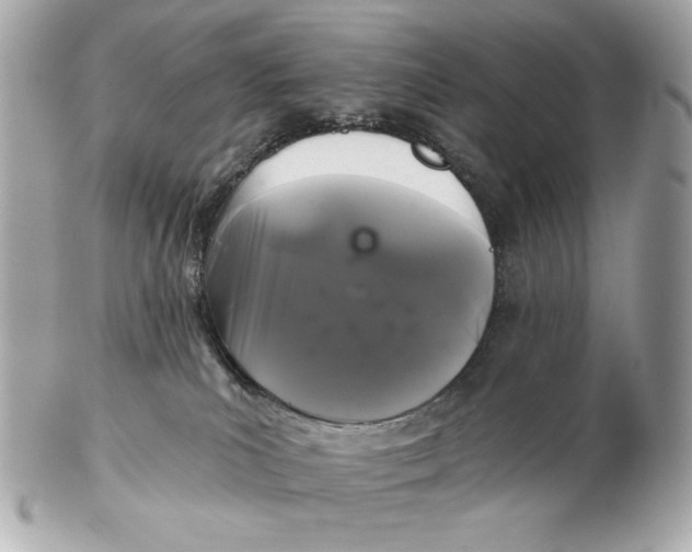 X0000102460039200808291551
