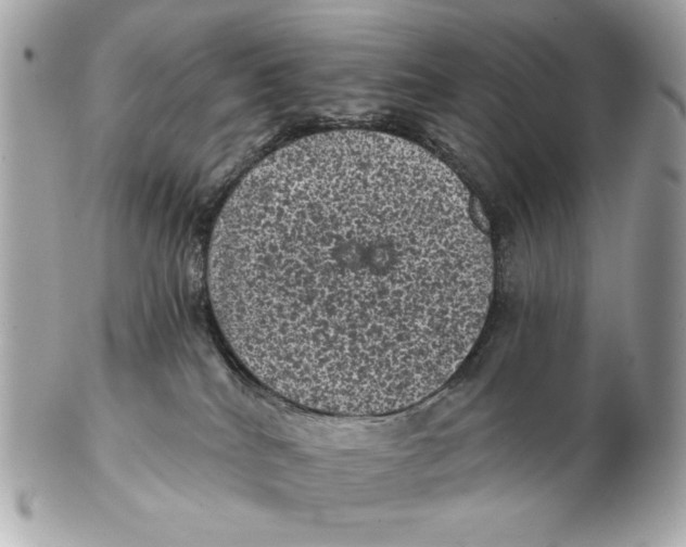 X0000102460040200808291551