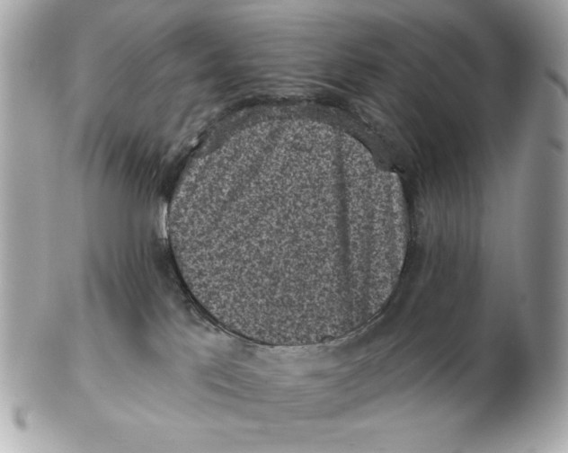 X0000102460041200808291551