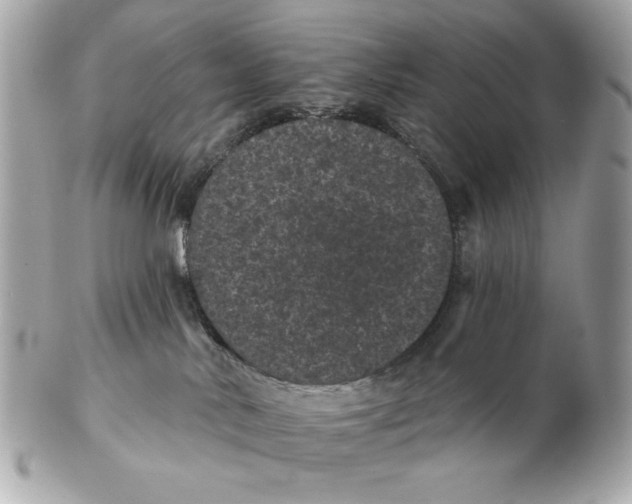 X0000102460042200808291551