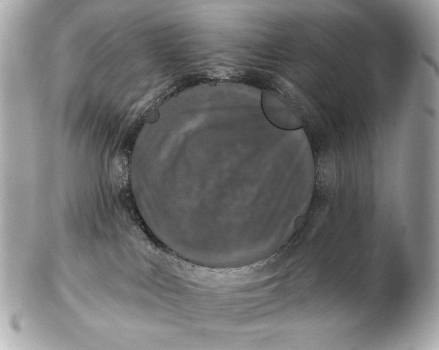 X0000102460043200808291551