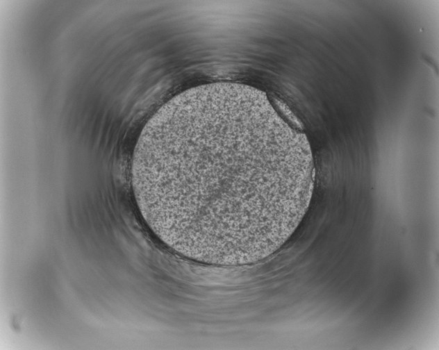X0000102460044200808291551