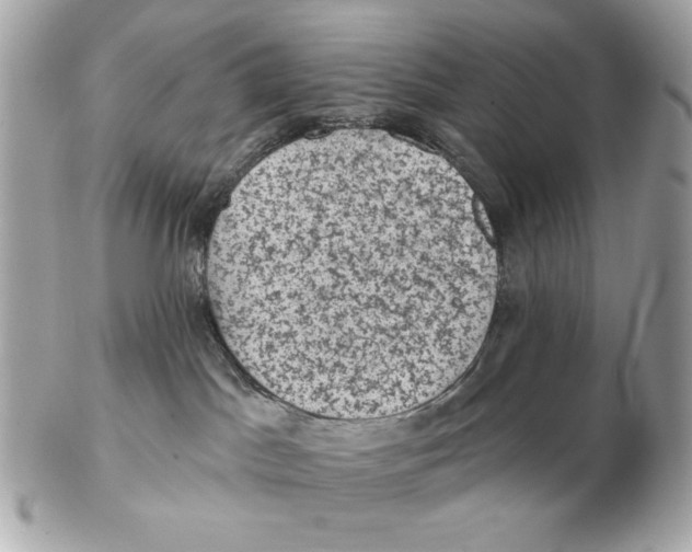 X0000102460045200808291551