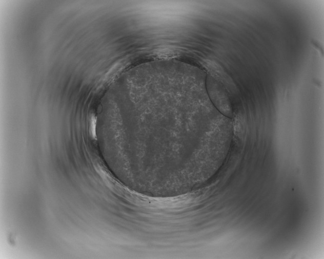 X0000102460046200808291551