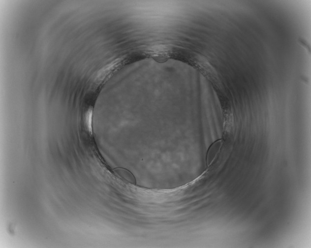 X0000102460047200808291551