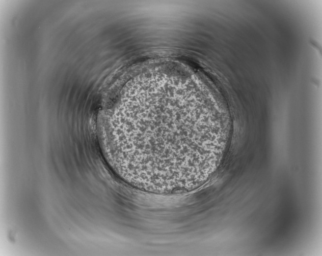 X0000102460048200808291551