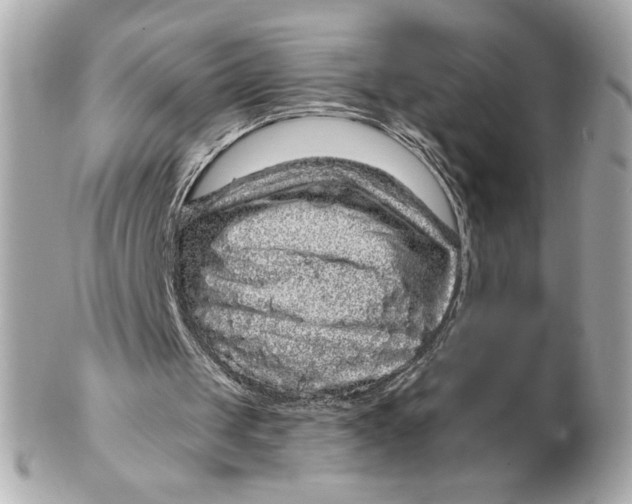 X0000102460049200808291551