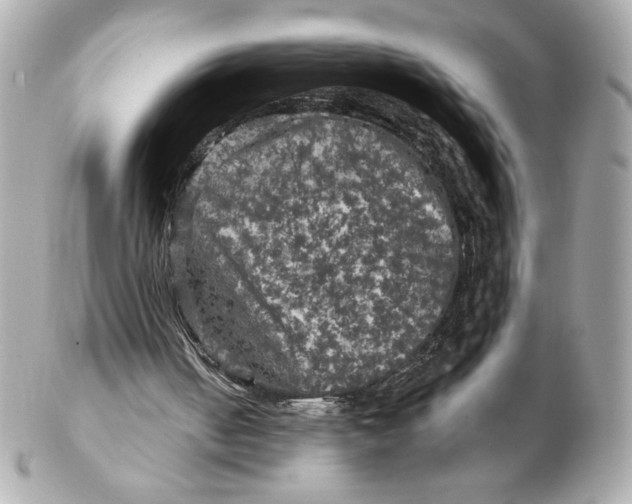 X0000102460050200808291551