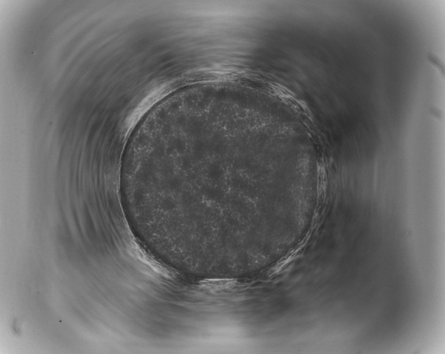 X0000102460051200808291551
