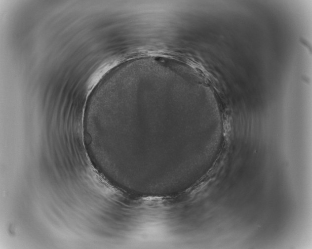X0000102460052200808291551