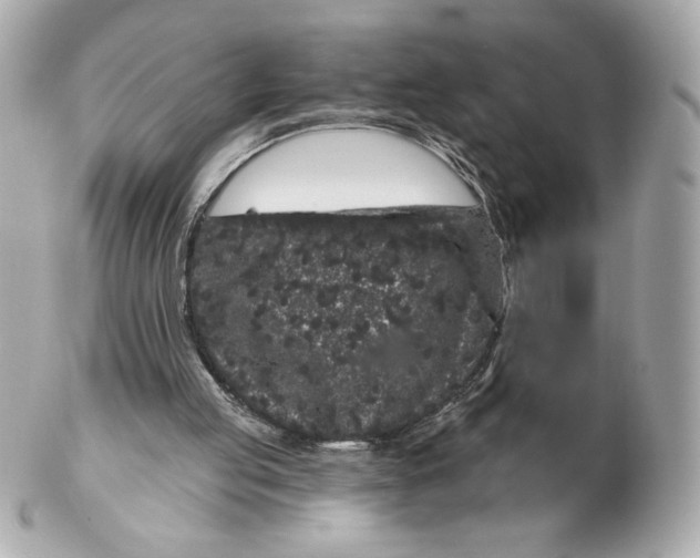 X0000102460053200808291551