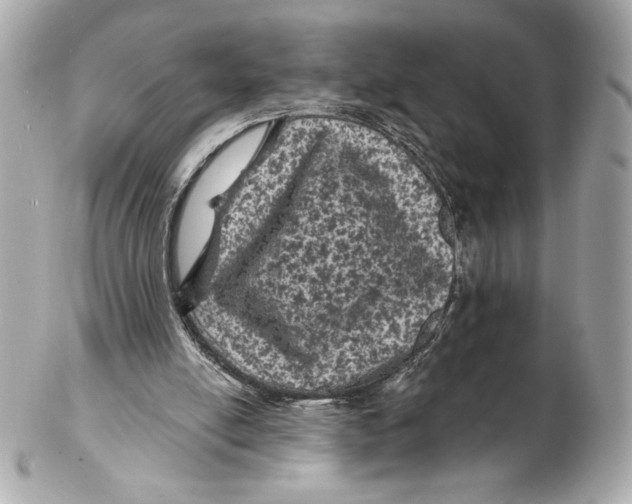 X0000102460054200808291551