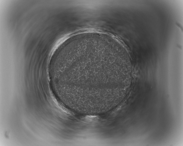 X0000102460055200808291551
