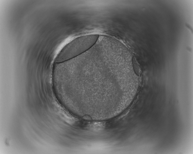 X0000102460056200808291551