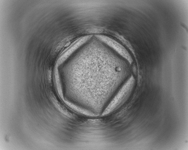 X0000102460057200808291551