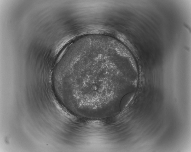 X0000102460058200808291551